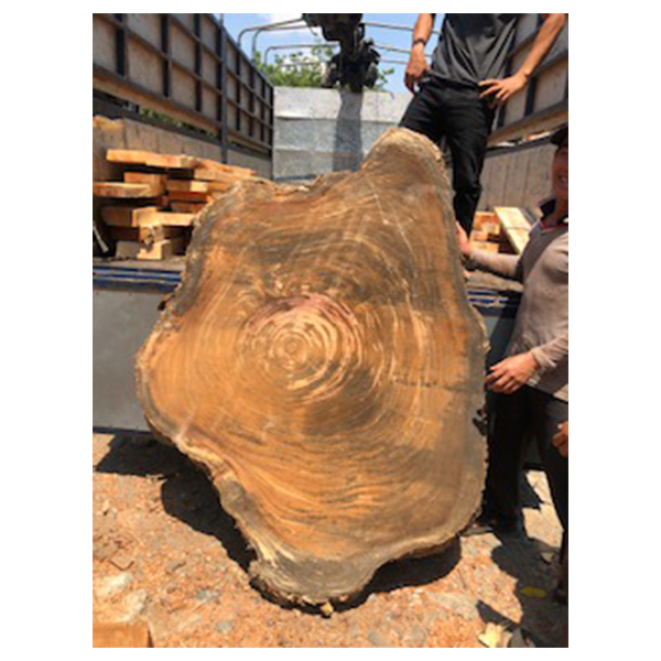Bàn gốc cây nguyên khối 04B