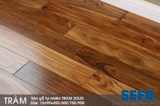 Sàn gỗ tràm 600mm x 90mm x 15mm